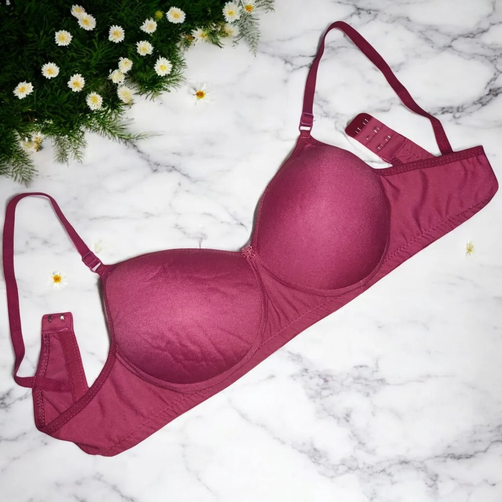 Lightly Padded Seamless Bra Set( Pack of 3)- Sea Blue, Magenta, Navy Blue