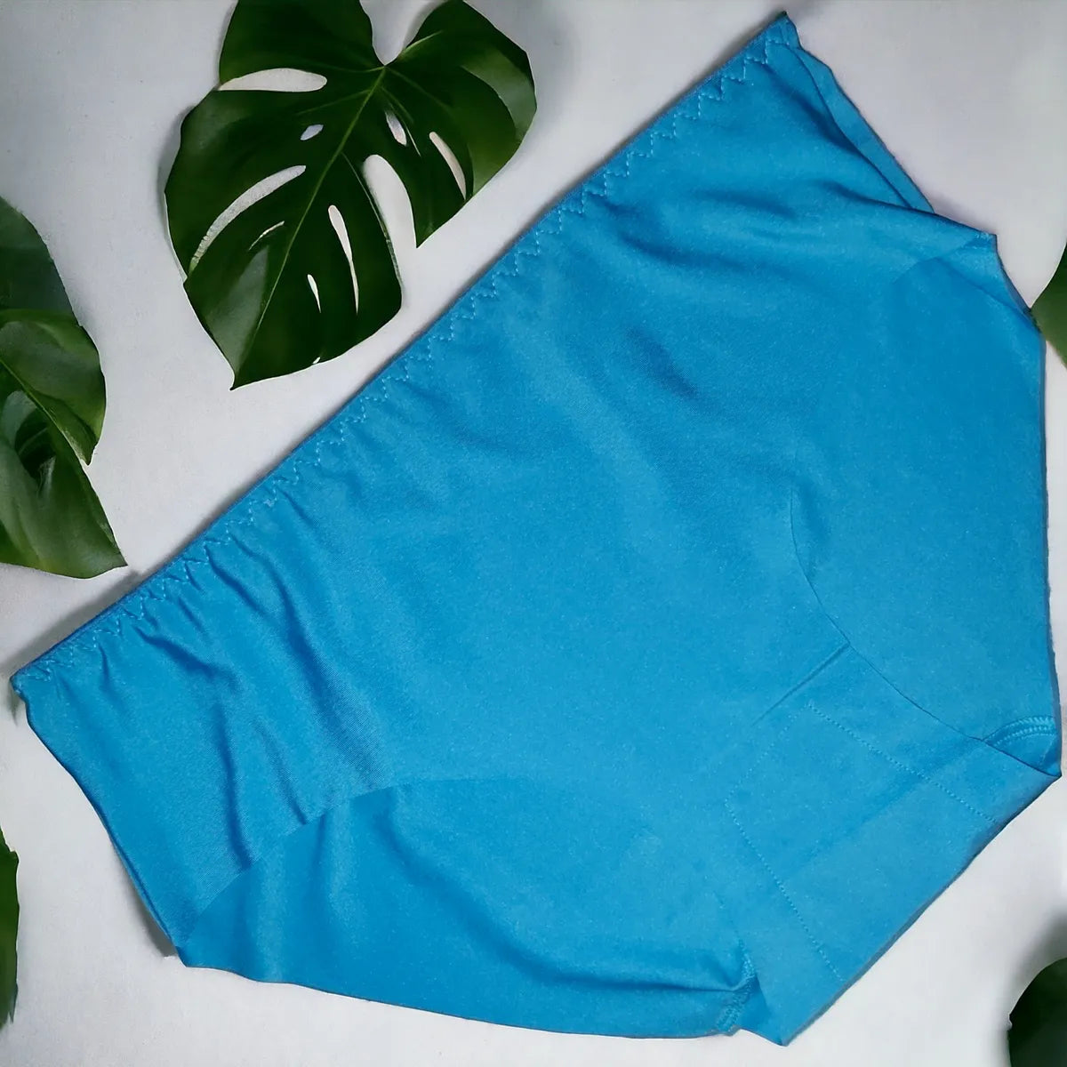 Women's Nylon fabric Seamless panty-Pack of 5, Assorted Colors I Soft, Strechable, Comfortable and invisible underwear